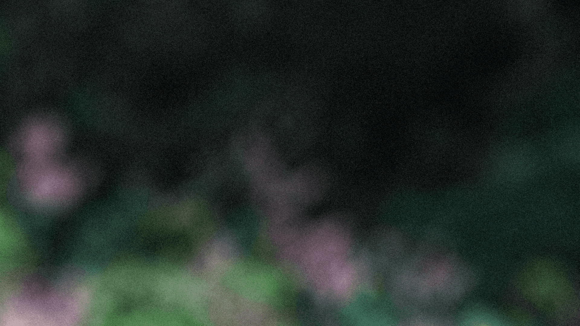 blurred background